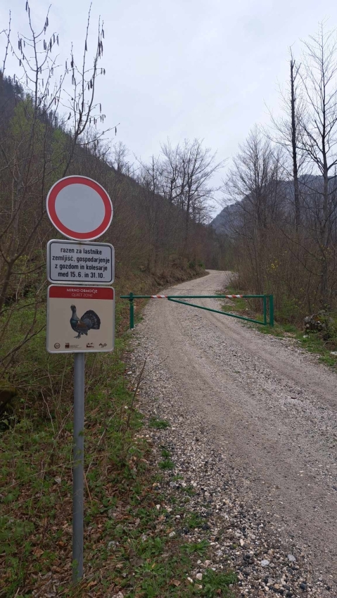 Poostren nadzor ob prepoved kolesarjenja Radovna - planina Klek