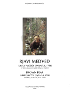 Discussions and Research 9: Brown Bear in Triglav National Park
