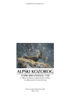 Discussions and Research 5: The Alpine ibex in Triglav National Park and elsewhere in Slovenia