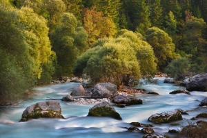 Running waters in Triglav National Park