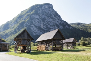 Kulturna dediščina Julijskih Alp - križanka