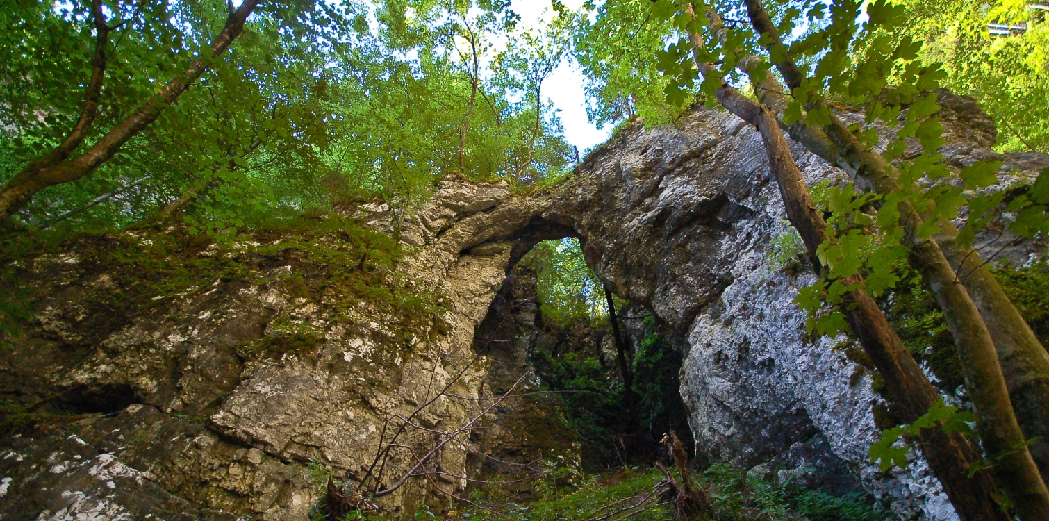 Pohodniška pot