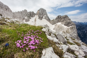 Biosferno območje Julijske Alpe