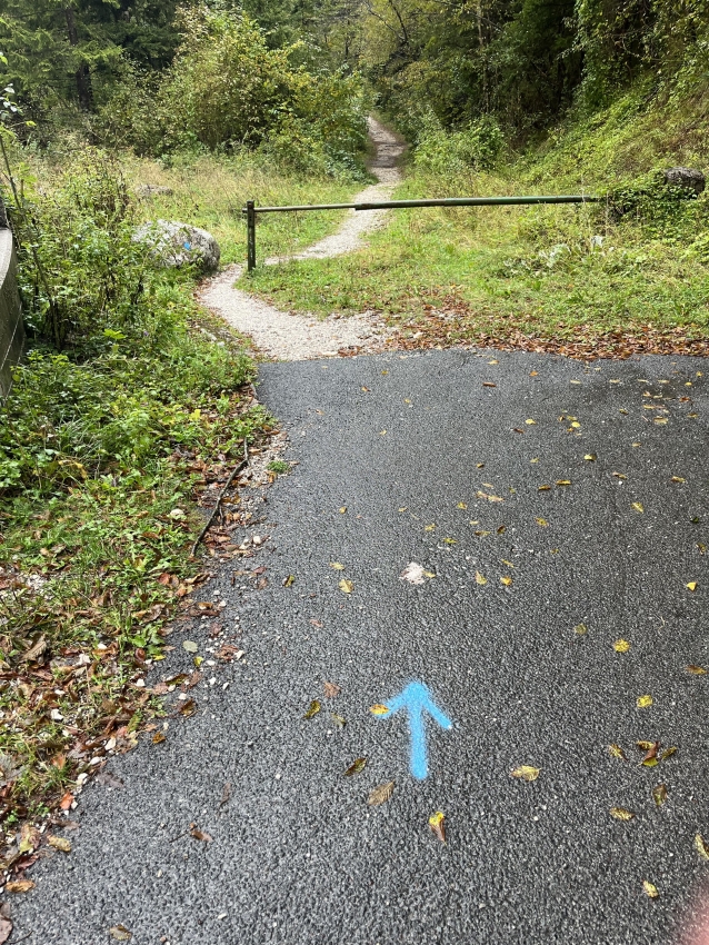 Domnevni vandalizem na velikem delu Soške poti