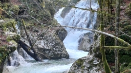 Lepenjica - Šunikov gaj