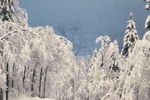 Winter alpinism