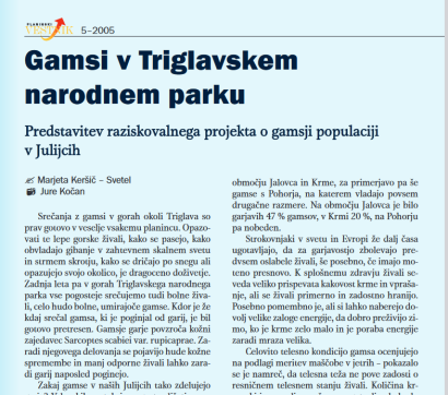 Gamsi v Triglavskem narodnem parku