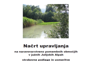 Razprave in raziskave 15. -Načrt upravljanja