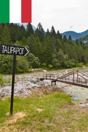 The Beautiful Path / La Bella Strada