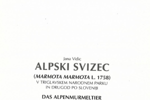 Razprave in raziskave 3. -Alpski svizec