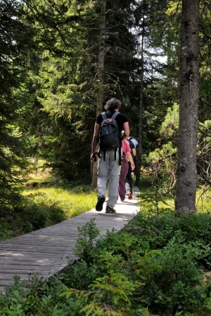 Goreljek Peat Bog Educational Trail