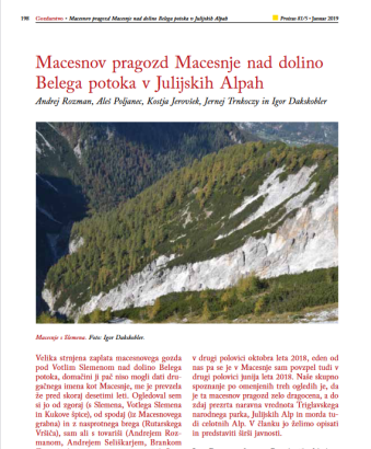 Macesnov pragozd Macesnje nad dolino Belega potoka v Julijskih Alpah