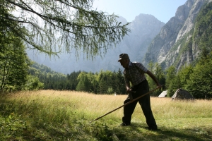 Cultural heritage in the Julian Alps