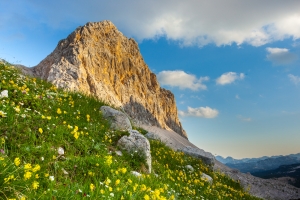 Biosphere Reserves of Slovenia