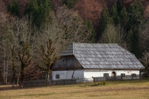 Pocarjeva domačija