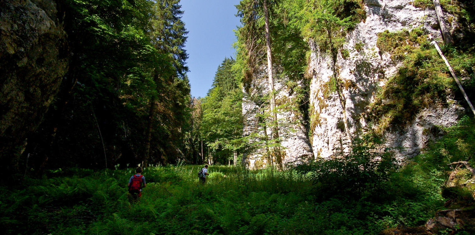 Pokljuška soteska