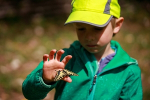 Triglav Treasury- Community of Schools of the Julian Alps Biosphere Ares