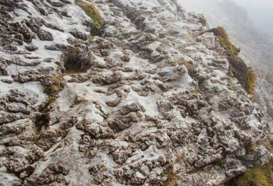 The photograph shows a rock with a white base and smaller raised gray sections. Grass grows sporadically in between.