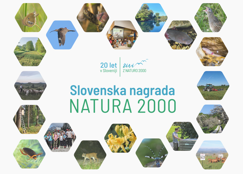 Nagrade za dobre prakse v območjih Nature 2000 v Sloveniji