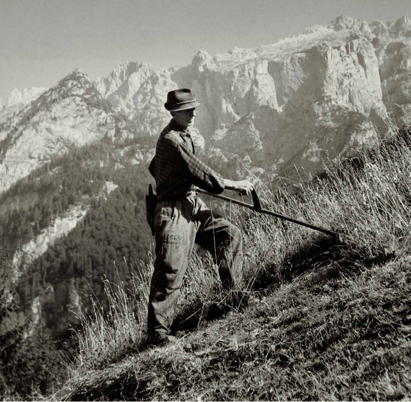 The photograph shows a person mowing grass with a scythe on a sloped terrain. Some grass is already cut, while some remains. In the background, tall mountains rise.