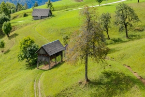 Shepheards and miners- the first settlers of the Julian Alps