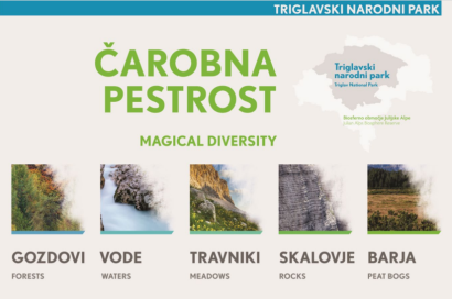 Priložnostne publikacije (Razstava Čarobna pestrost )