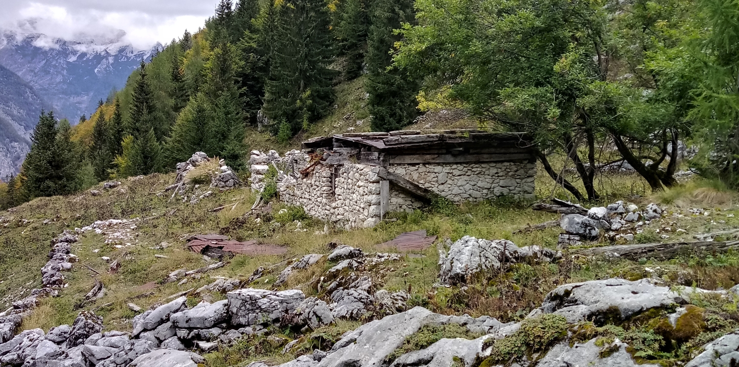 TREBIŠČINA MOUNTAIN PASTURE - free guided hike