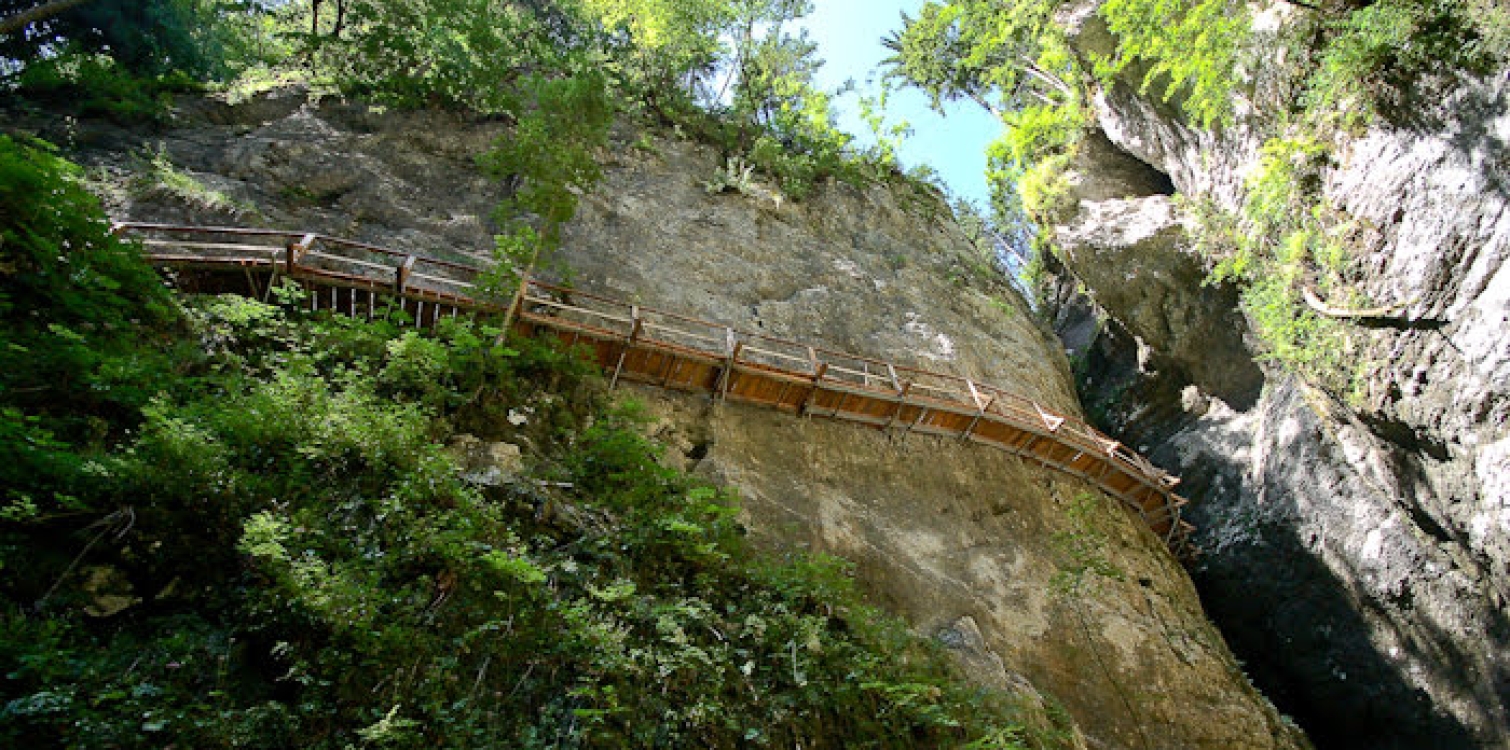 Guided tour through the Pokljuka Gorge 