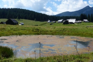 What is a sinkhole pond?